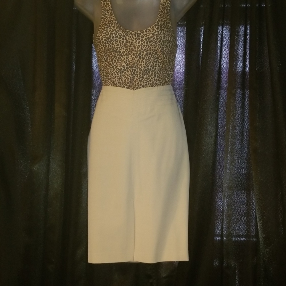 The Limited skirt